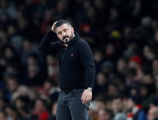 极强的适应 极强的适应